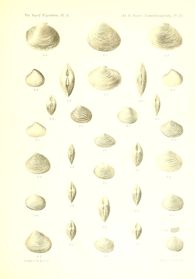 n514_w1150