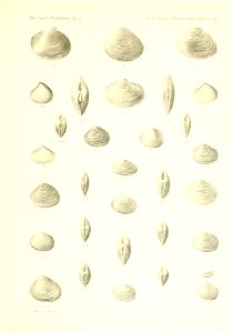 n514_w1150