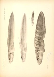 n114_w1150