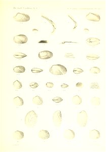 n510_w1150