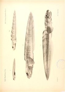 n110_w1150