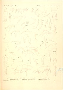n158_w1150