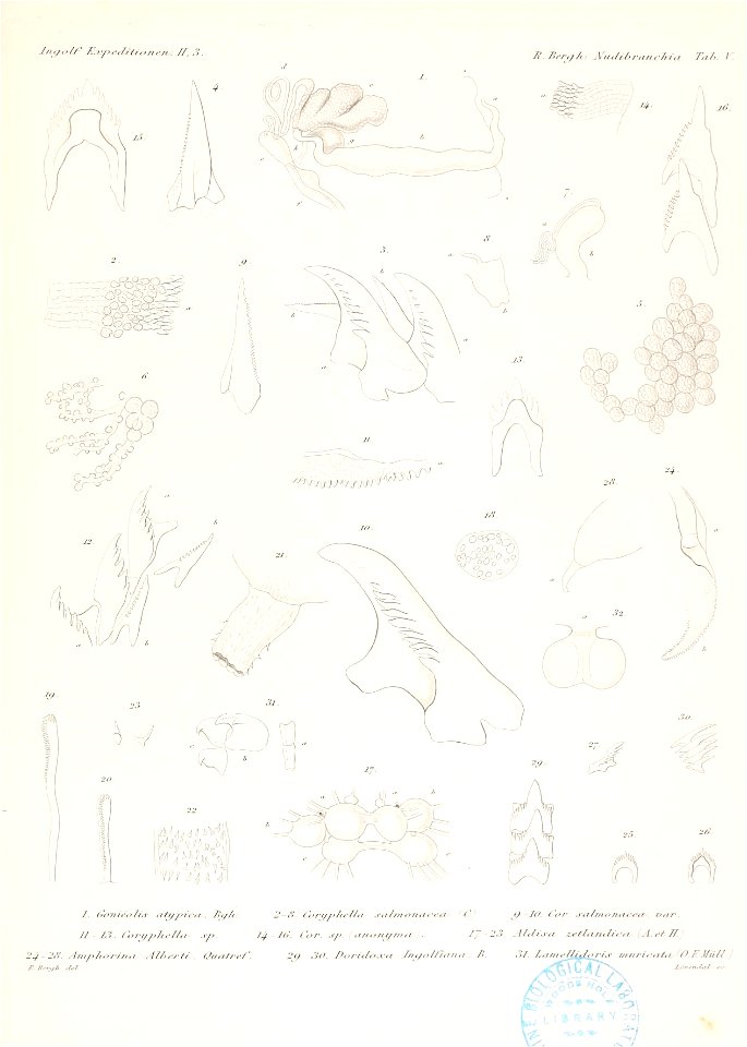 n66_w1150