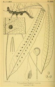 n157_w1150