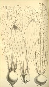 n109_w1150