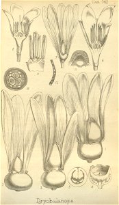 n106_w1150