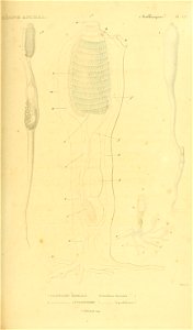n564_w1150