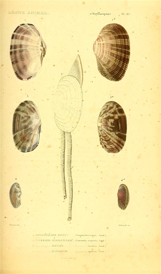 n504_w1150