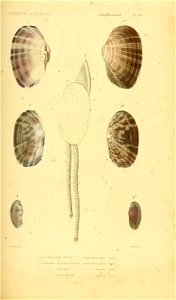 n504_w1150