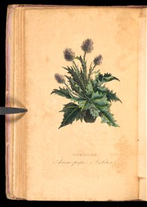 n121_w1150