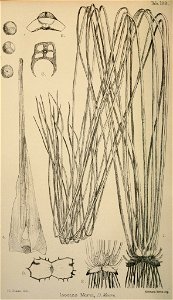 n375_w1150