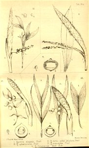 n15_w1150