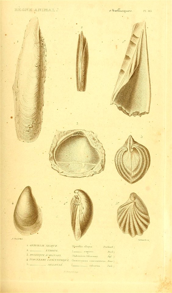 n376_w1150