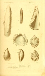 n376_w1150