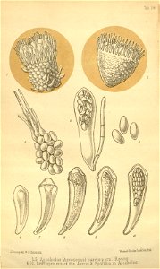 n372_w1150