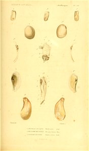 n492_w1150