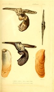 n372_w1150