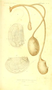n552_w1150
