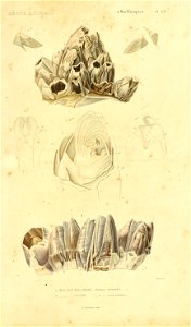 n608_w1150