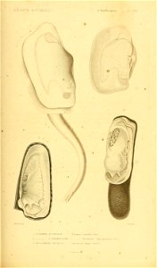n488_w1150