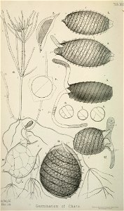 n317_w1150
