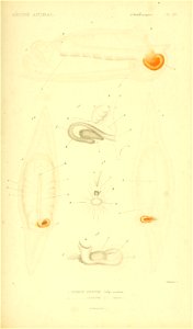 n540_w1150