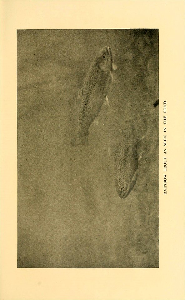 n184_w1150
