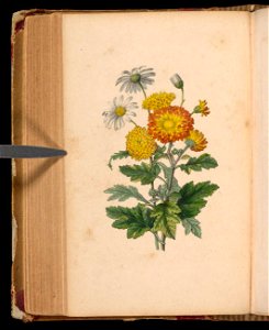 n245_w1150