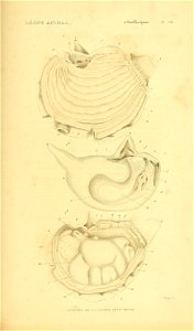 n560_w1150
