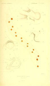 n536_w1150