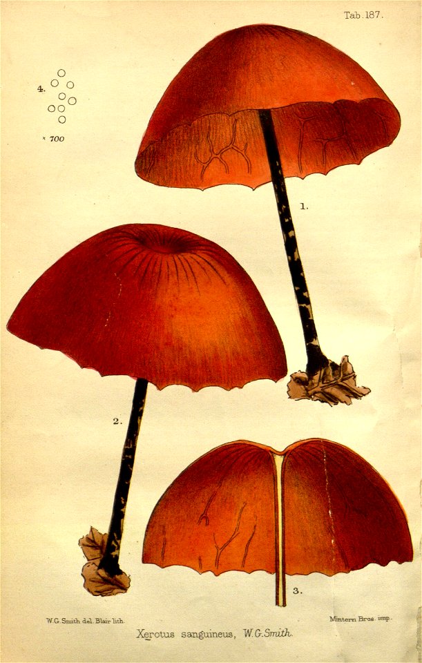 n169_w1150