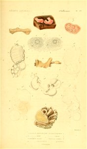 n572_w1150