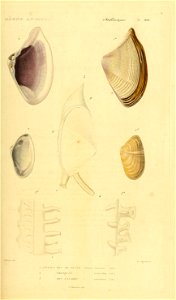n452_w1150