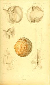 n392_w1150
