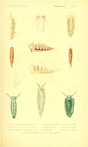 n152_w1150