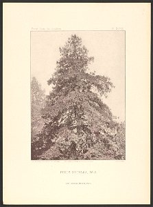 n164_w1150