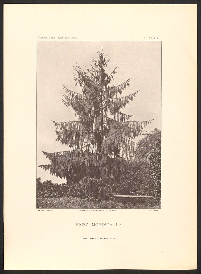 n14_w1150