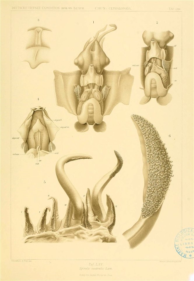 n166_w1150