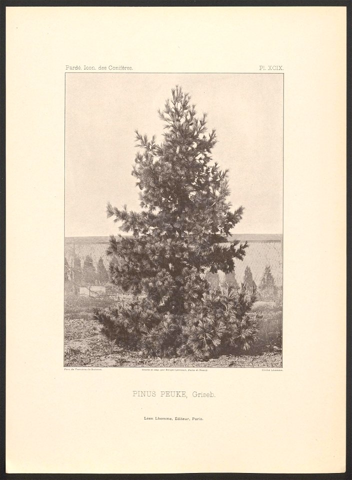 n206_w1150
