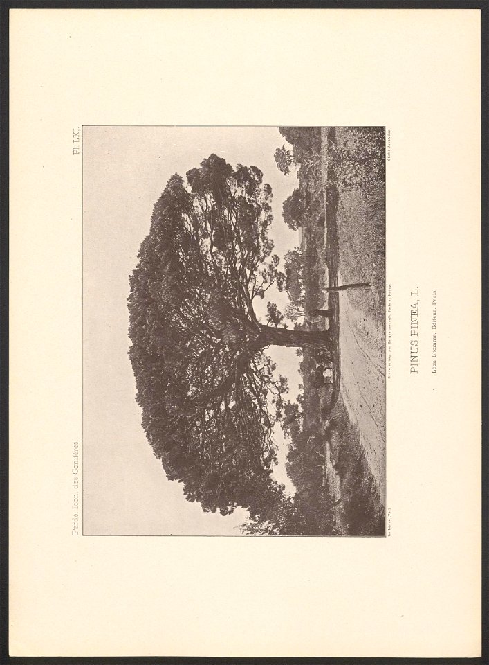 n158_w1150