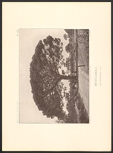 n158_w1150