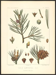 n104_w1150