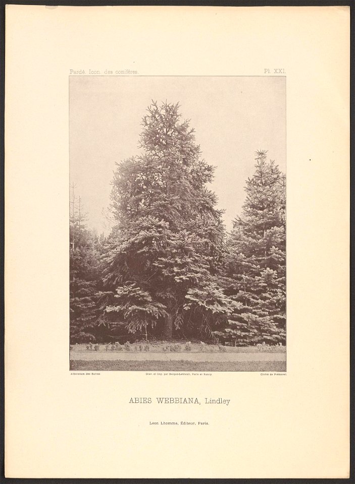 n8_w1150