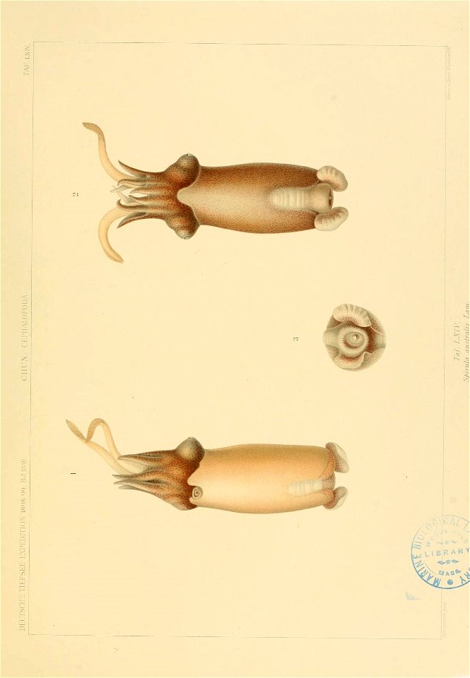 n162_w1150
