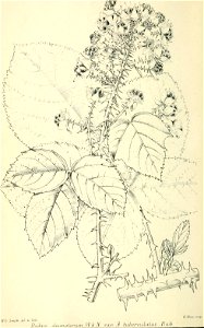 n189_w1150