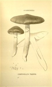 n223_w1150