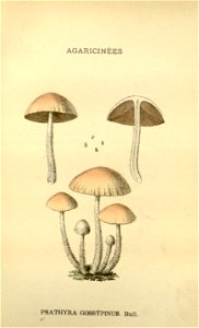 n102_w1150