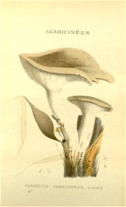 n57_w1150