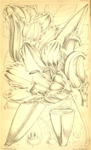 n345_w1150