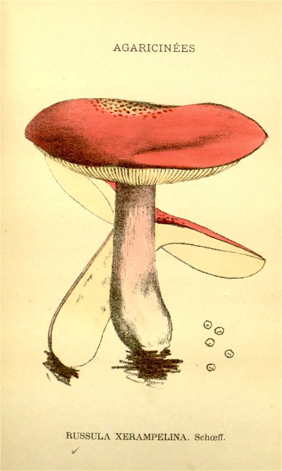 n158_w1150
